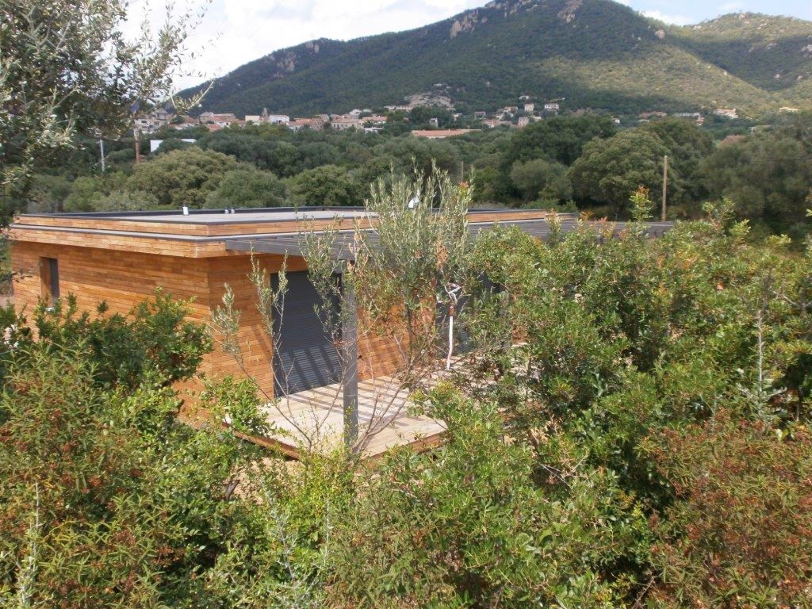 Casa Lemn Comiti